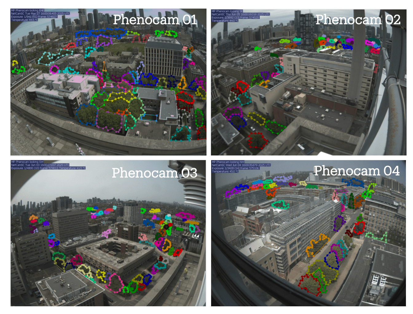 manual labelling workflow